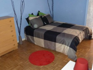 glorieta embajadores habitación 2